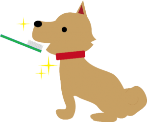 犬歯磨き緑のブラシ